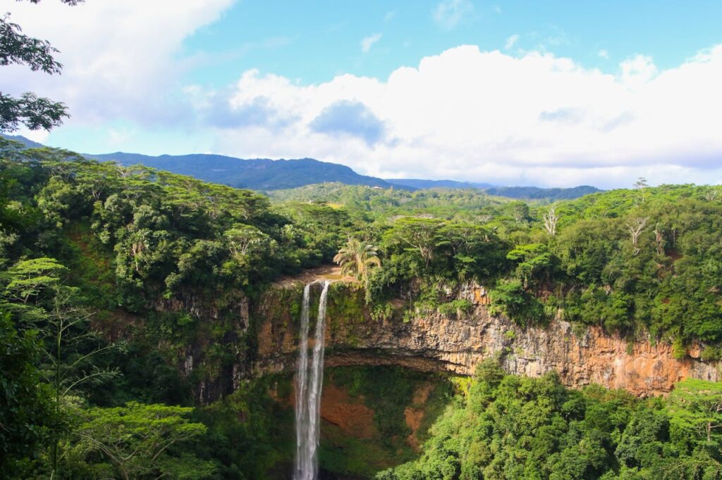 pexels magda ehlers pexels 1189479 1024x682 - Descubra as Maravilhas da Amazônia: Ecoturismo no Brasil