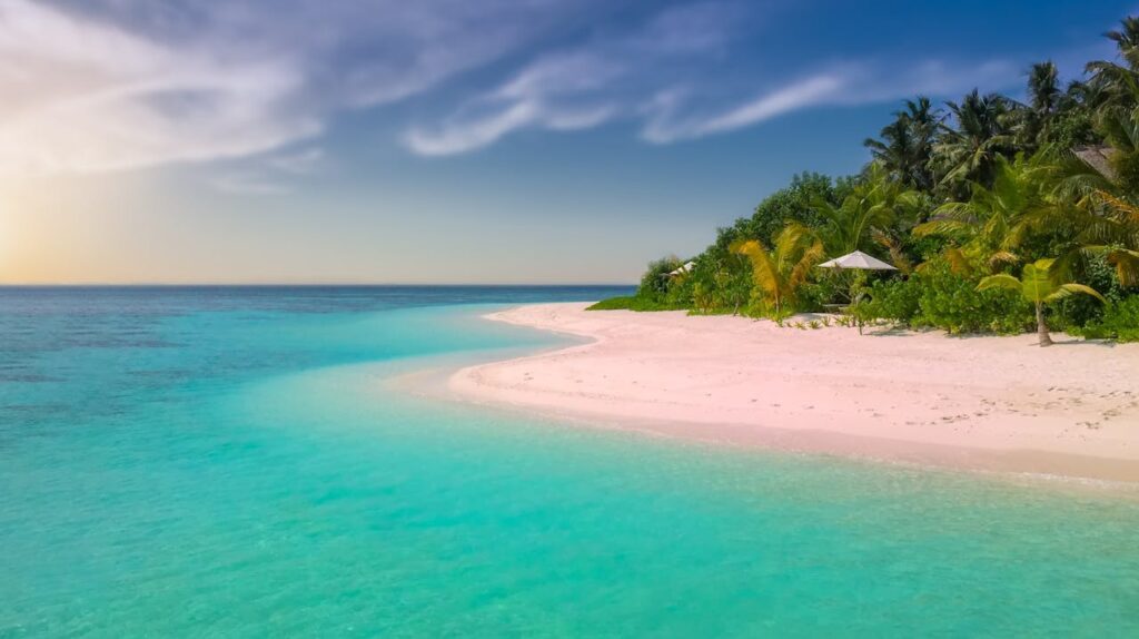 pexels pixabay 221471 1024x574 - Praias do Brasil: Onde Encontrar Areias Brancas e Mar Cristalino